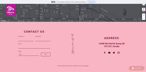 The decor was removed to make for more consistent imagery.